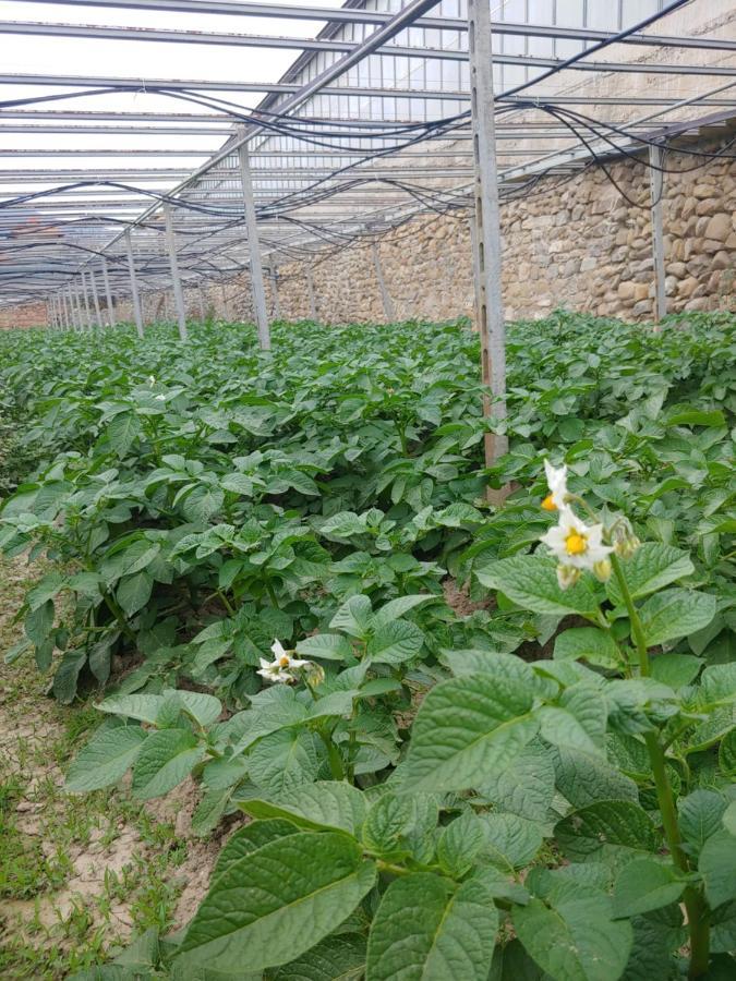 Agriturismo Ca Du Bega 2 아르마 디 타지아 외부 사진